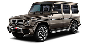 Диски MERCEDES-BENZ G (463) Restyle 3 G 65 AMG