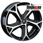 REPLICA LS CI-11 (BKF)