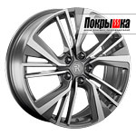 Replica Replay VV-361 (GMF)