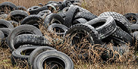 В России стартовали акции по сбору старых шин