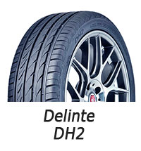 Delinte DH2