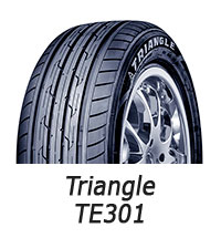 Triangle TE301