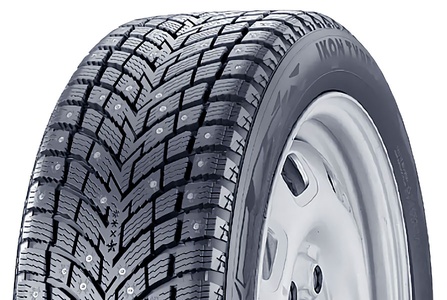 Шины Ikon Autograph Ice 10