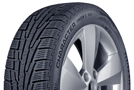 Шины Ikon Tyres Character Snow 2