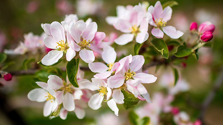 Майские праздники в «Покрышка.ру»