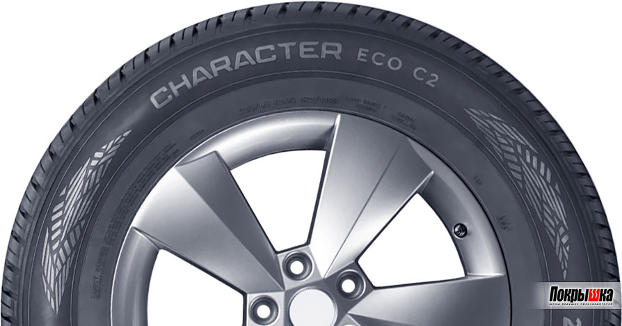 Шины Ikon Character Eco C2