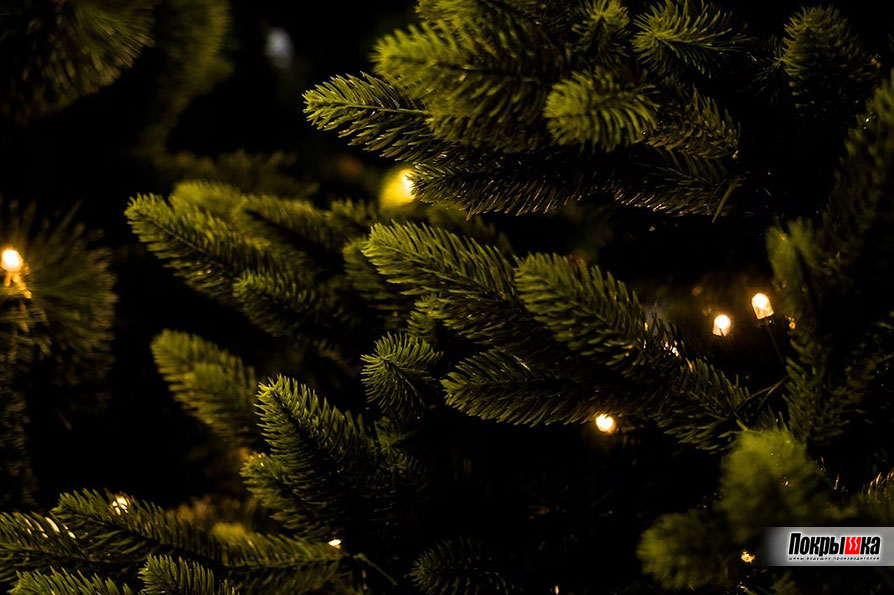 С Новым годом!