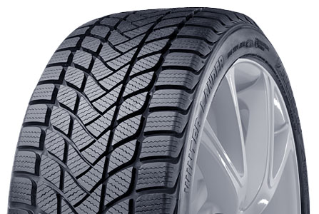 Шины LandSail Winter Lander