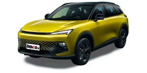 Шины BAIC X55 II