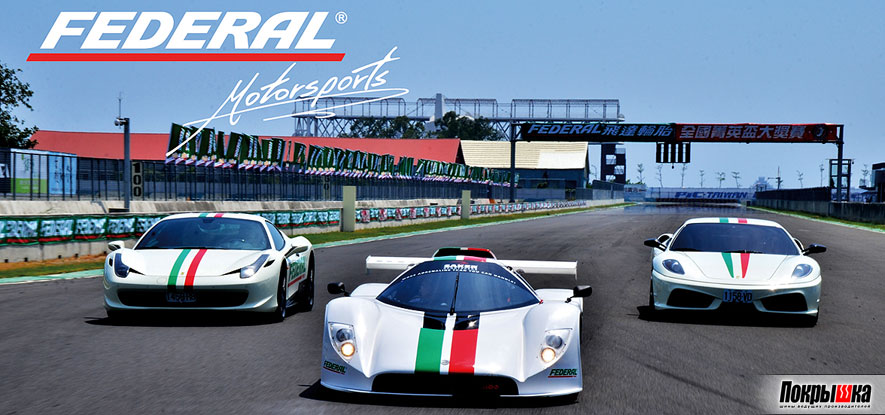 скоростные шины federal