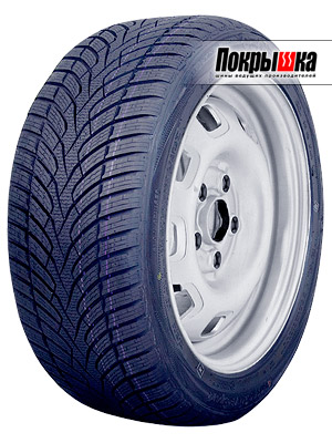 Ceat Winter Drive Sport