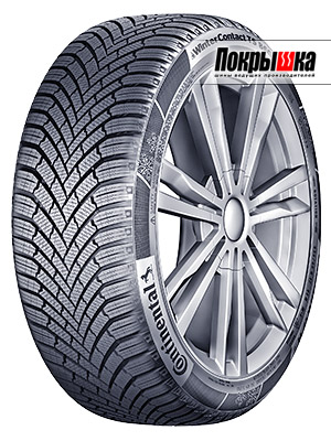 Continental ContiWinterContact TS 860 205/60 R16 92T