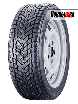 Ikon Tyres Autograph Ice 10 205/55 R17 95T
