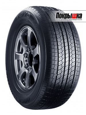 Toyo Open Country A20 245/55 R19 103T
