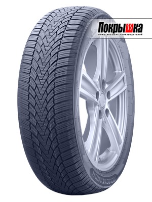 Отзывы о шине Roadmarch Winter X Pro 888