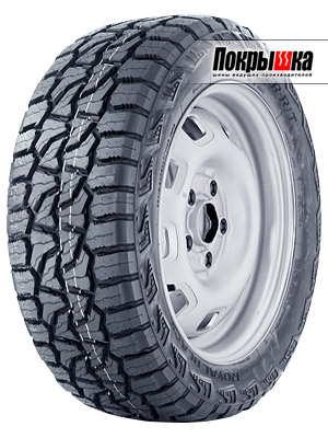 Royal Black Spider R/T