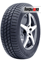 Шины Delinte AW6 Van