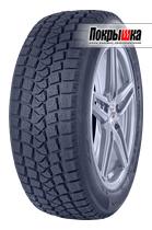 Шины Rauffan Snowmaster W1