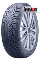 Roadstone Eurovis Alpine 2 195/55 R15 89H